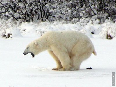 IMG_1212.JPG