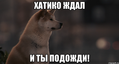 hatiko.png