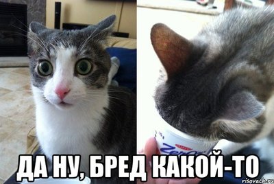 da-ne-bred-kakoy-to_49745447_orig_.jpeg