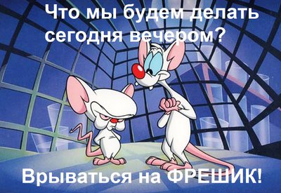 28-pinky.jpg
